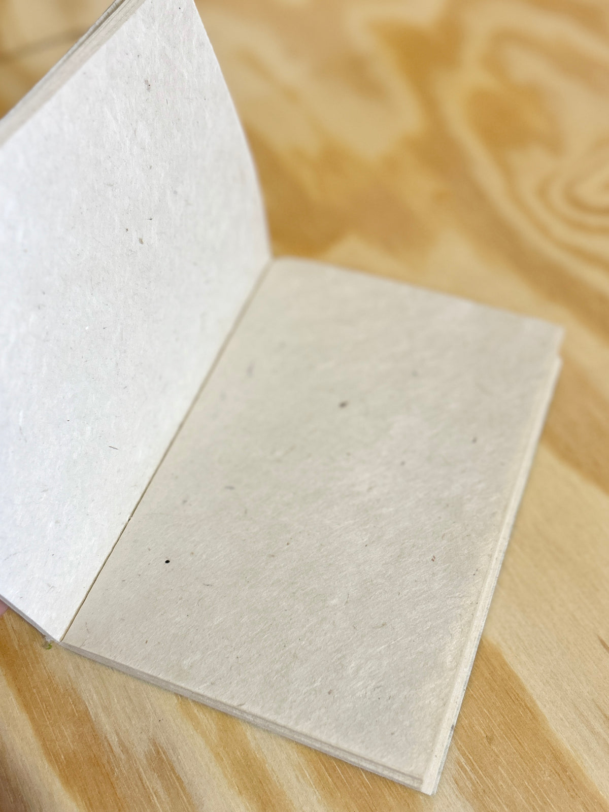 Ekata notatbok softcover A6 3-pakke