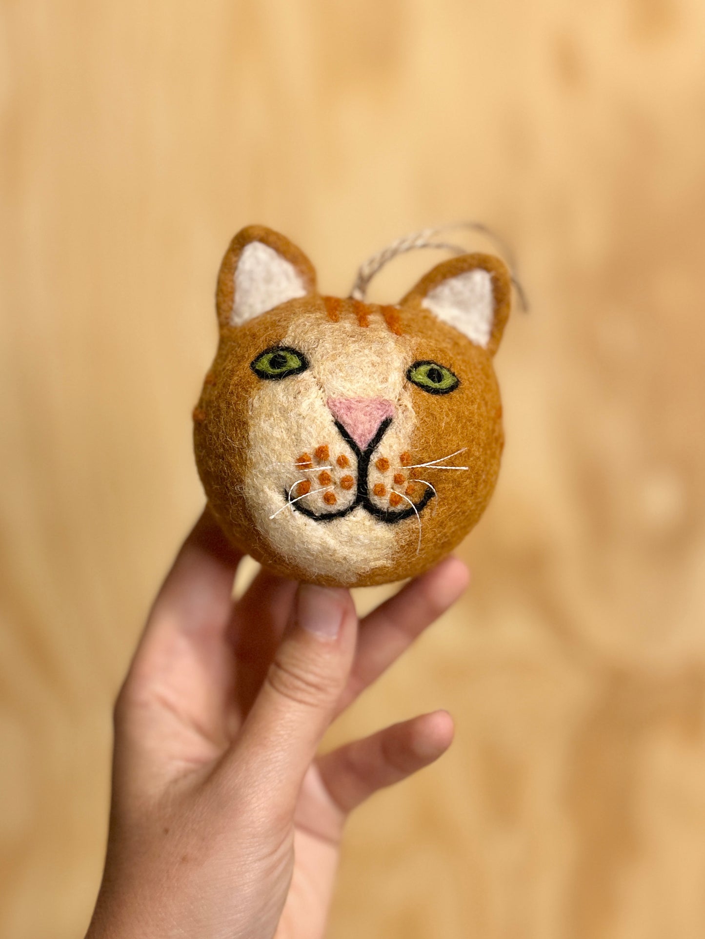 Kattehode orange