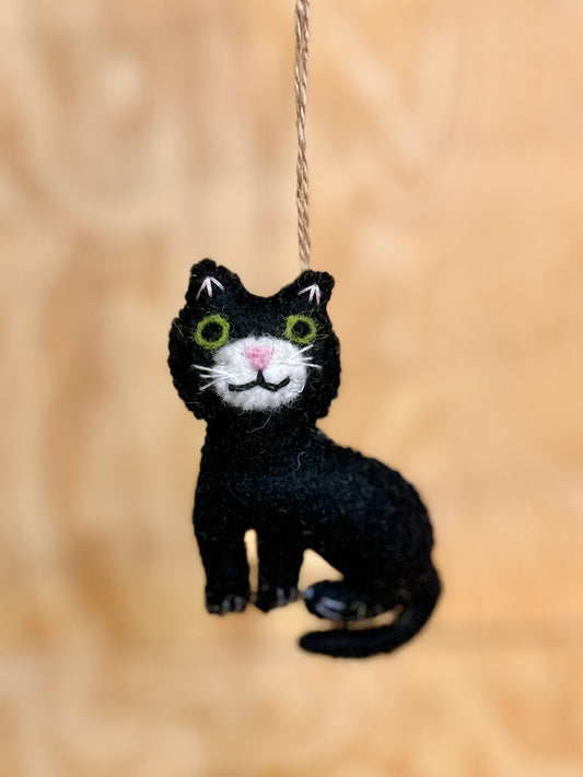 Svart katt