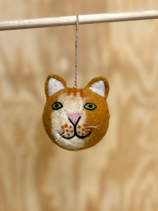 Kattehode orange