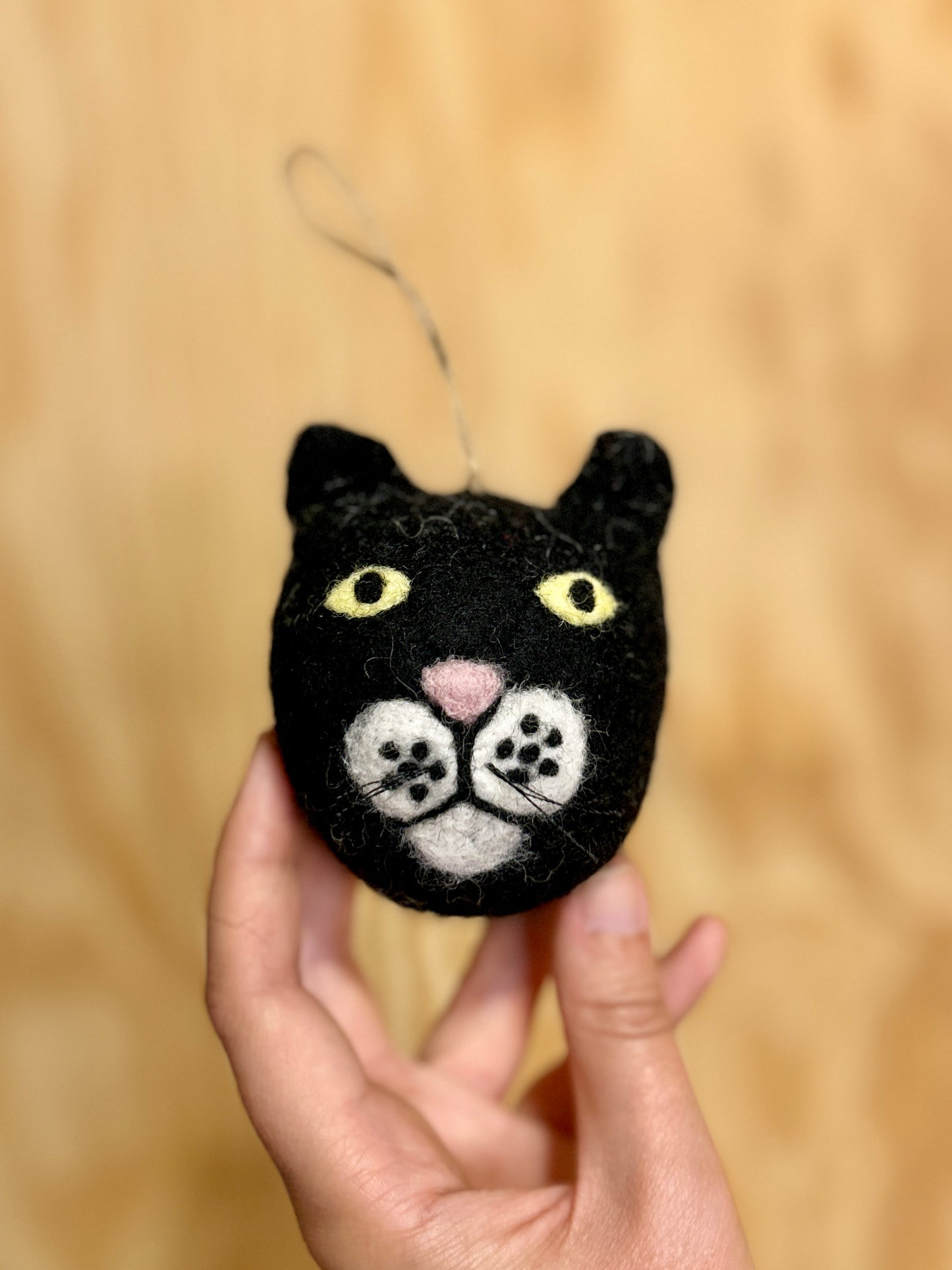 Kattehode svart